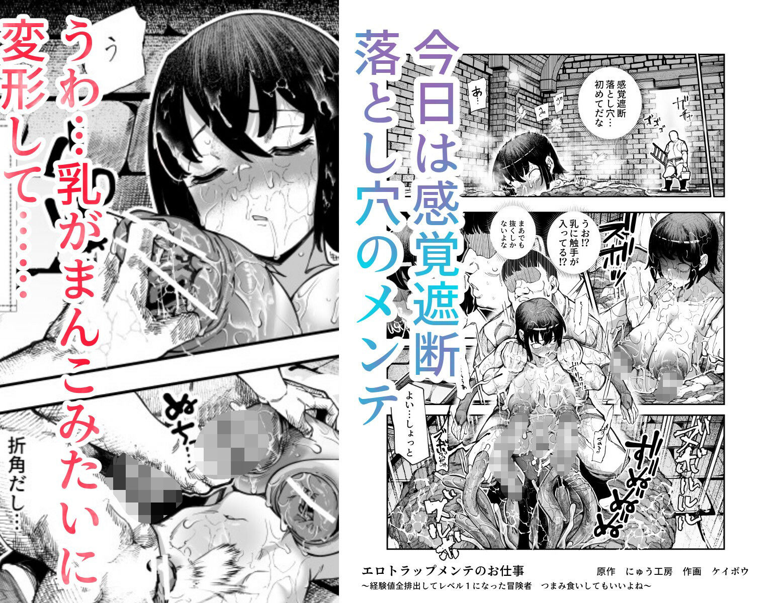 エロトラップメンテのお仕事EX〜経験値全排出してレベル1になった冒険者 つまみ食いしてもいいよね〜のイメージCG