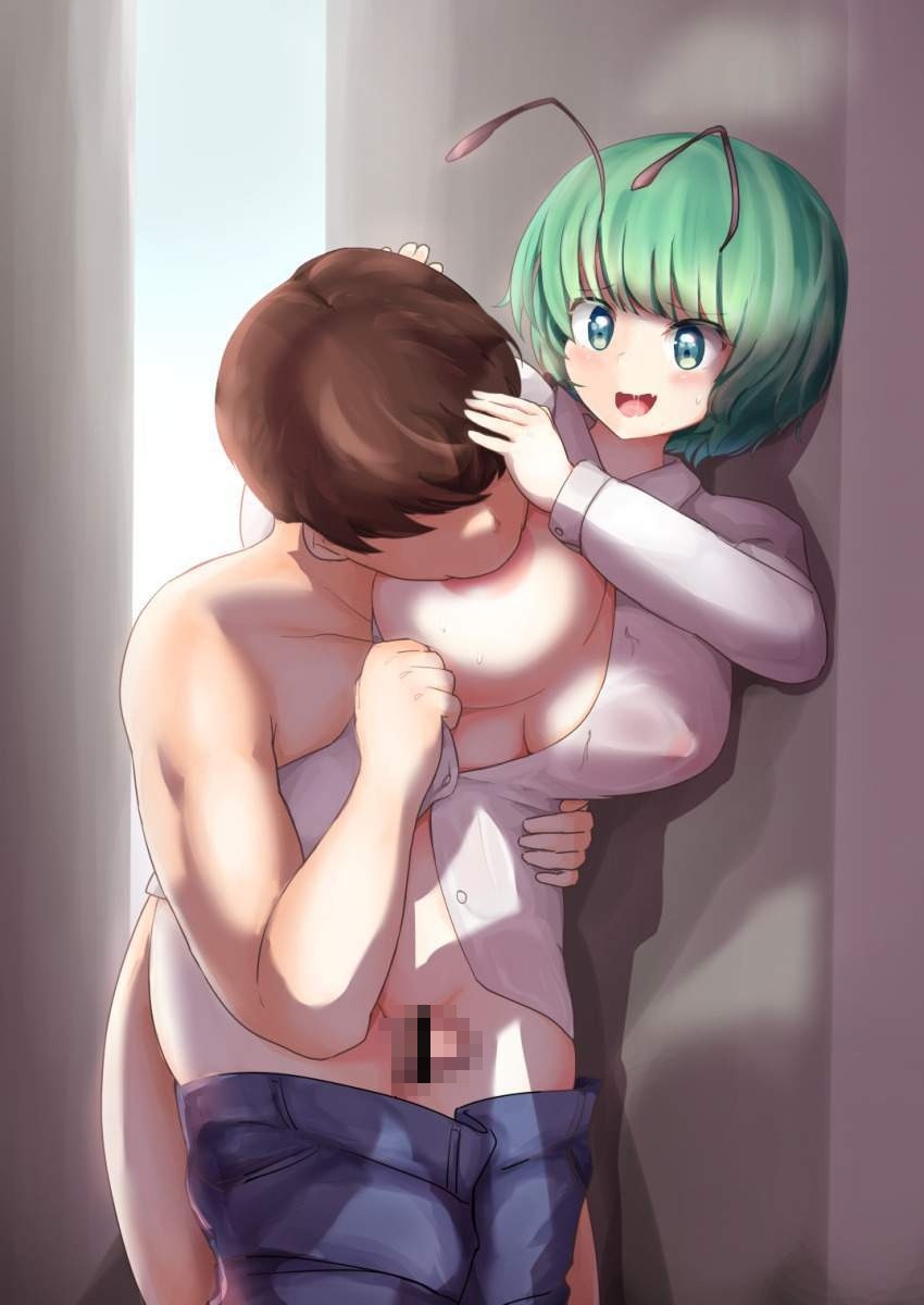 東方Projectのリグル・ナイトバグのエロ画像